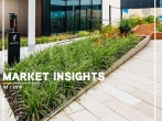 Market Insights - Q1 2019